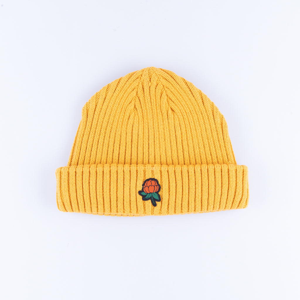 GÄVLE MÖSSA - MUSTARD