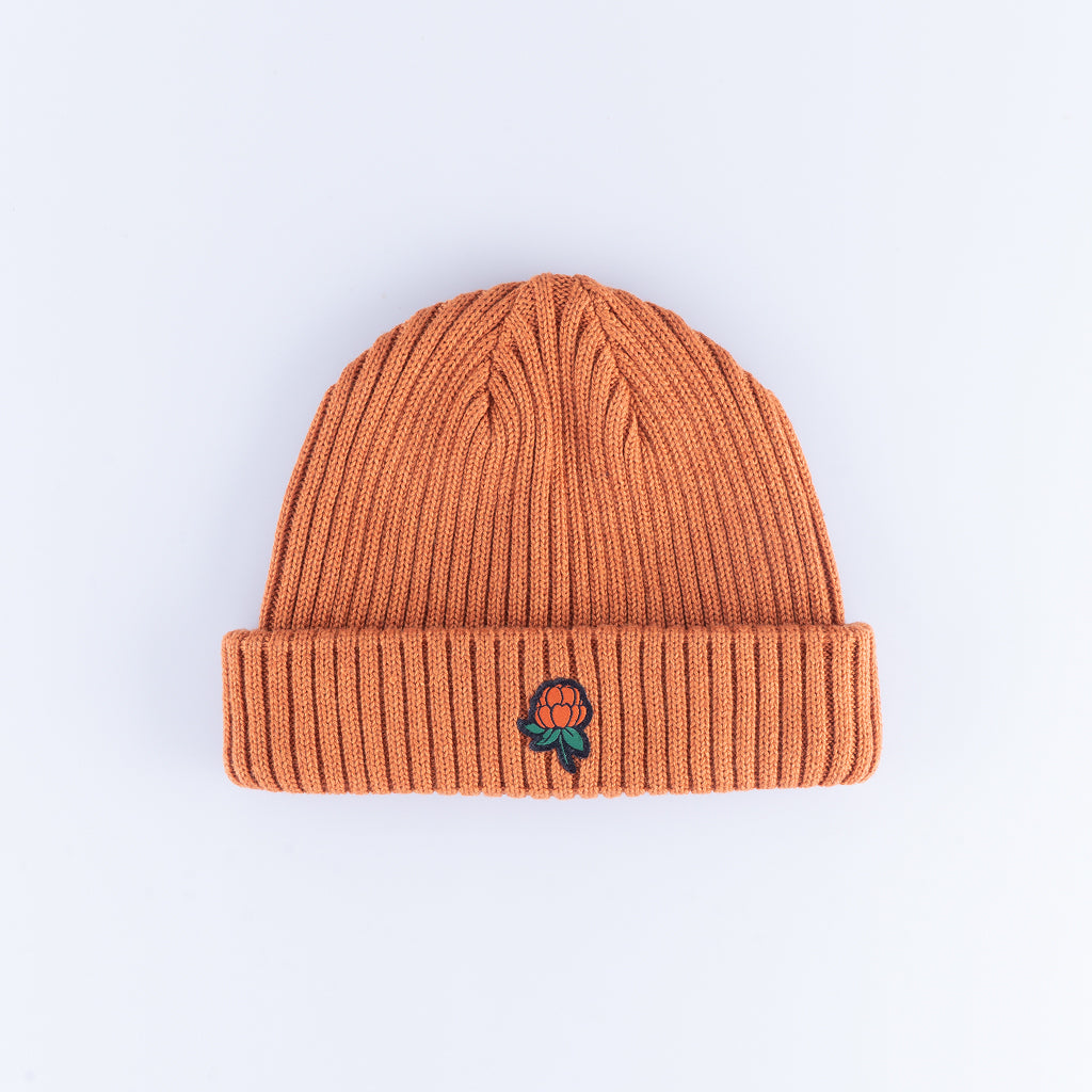 GÄVLE MÖSSA - RUST