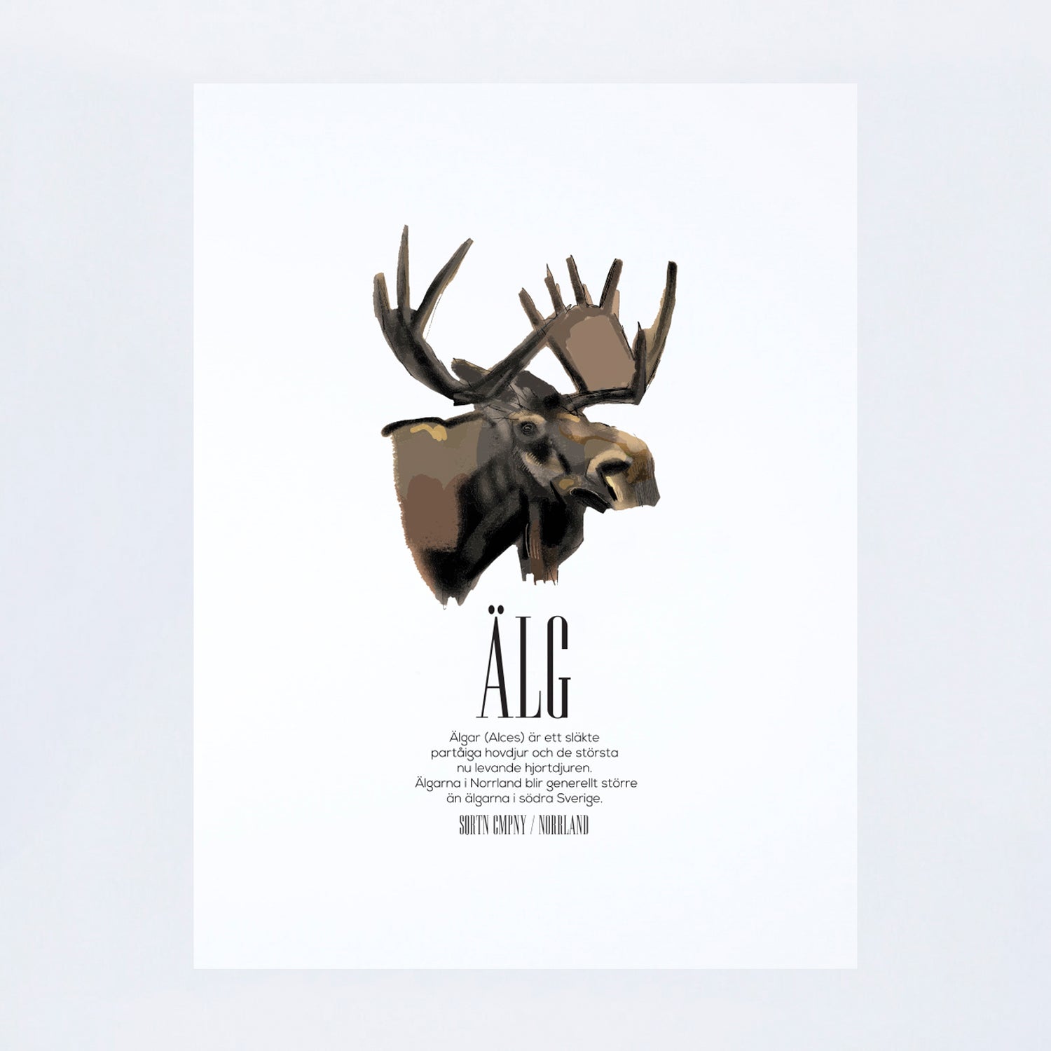 POSTER ÄLG