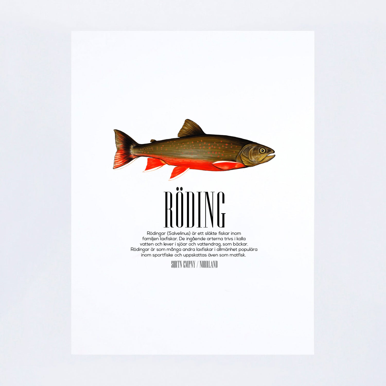 POSTER SALVELINUS