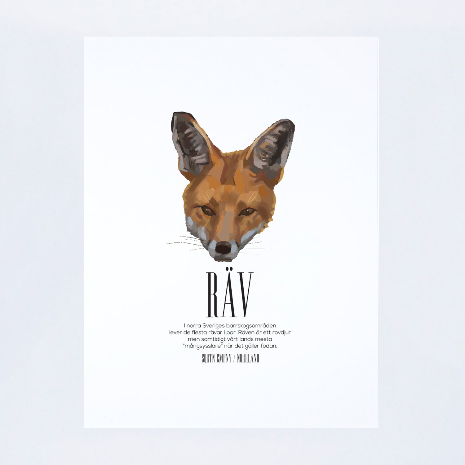 POSTER RÄV