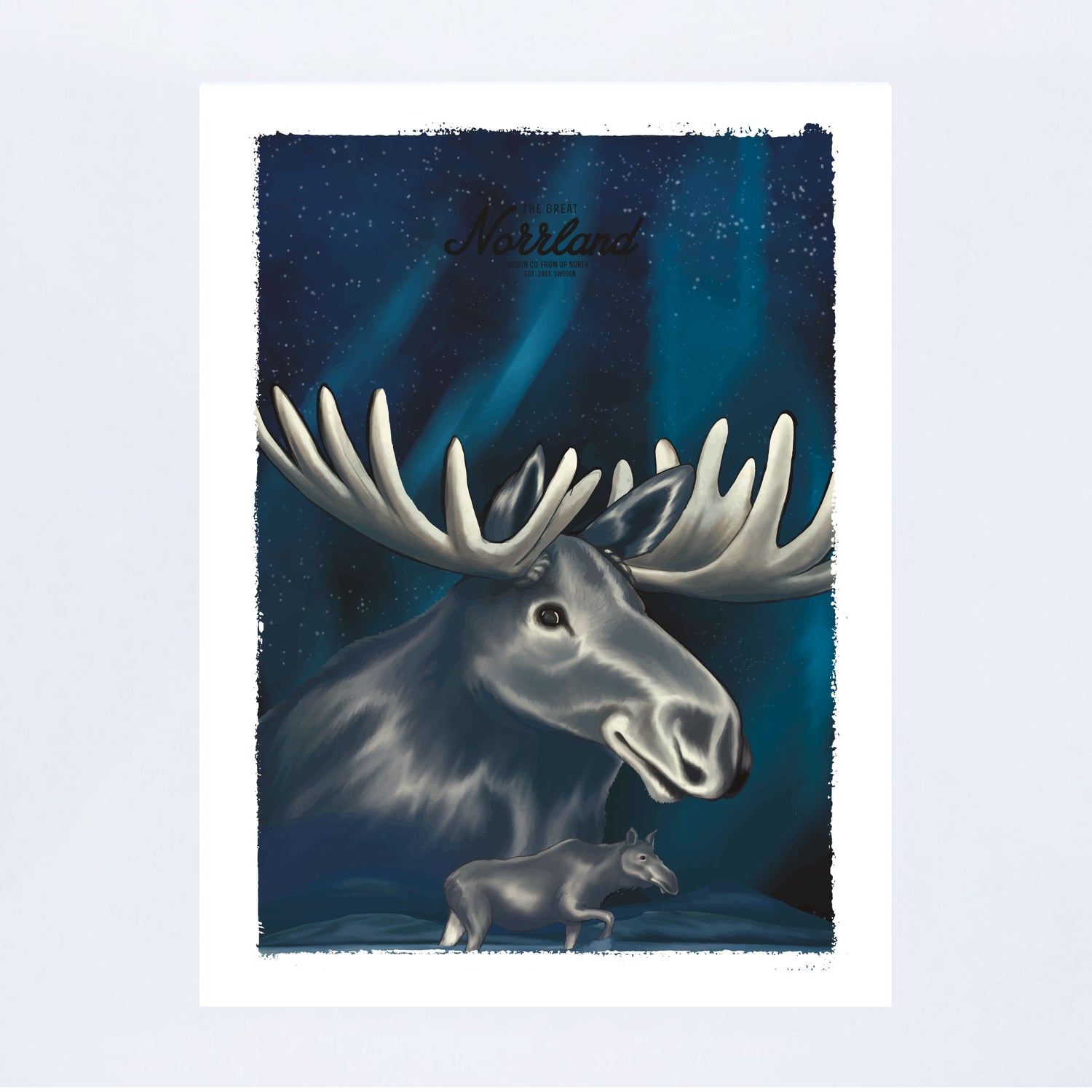 POSTER NORRSKENSÄLG